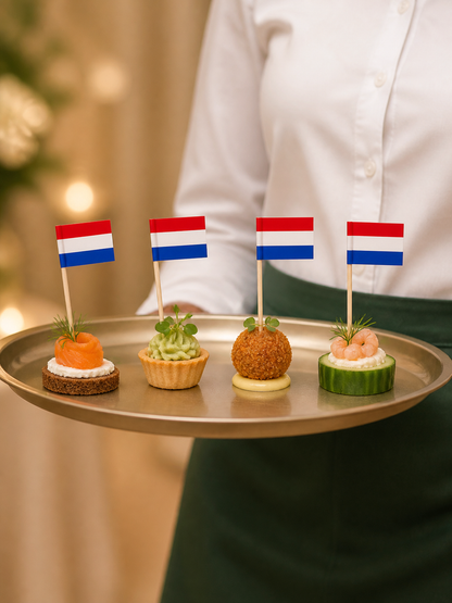Netherlands Flag Picks, 100 Count — B2B service scene (7 of 8)